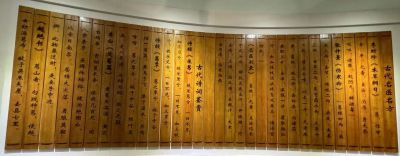 1760856008351267.jpg 葛根粉的藥用古籍.jpg