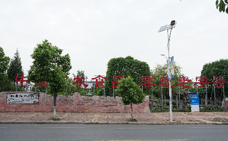 當(dāng)定制葛粉時(shí)，我們真正在選擇什么？