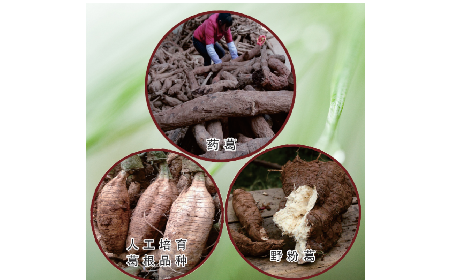 買葛粉是買野生的好？還是野生有機的好？